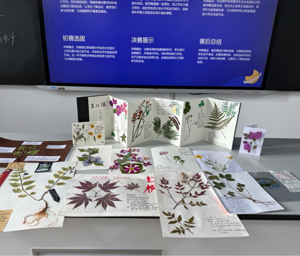 图片9