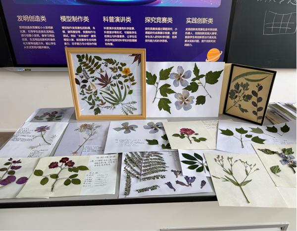 图片11